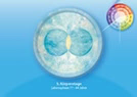 Karte 2. Lebenszyklus 77-84 Jahre, Geometrie Hellblau