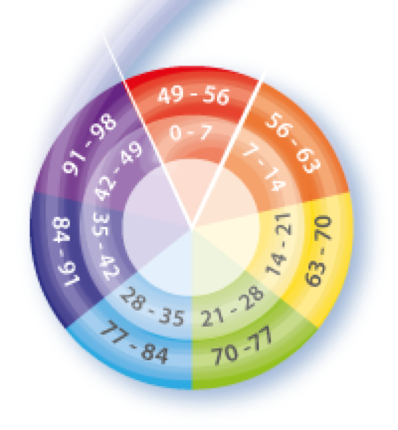 Die 7ner Schritte der Lebensspirale und Segmente der Energieetagen.
