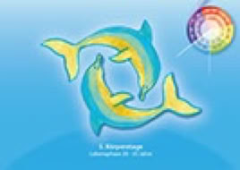 Karte 1. Lebenszyklus 28-35 Jahre, Krafttier Delphine